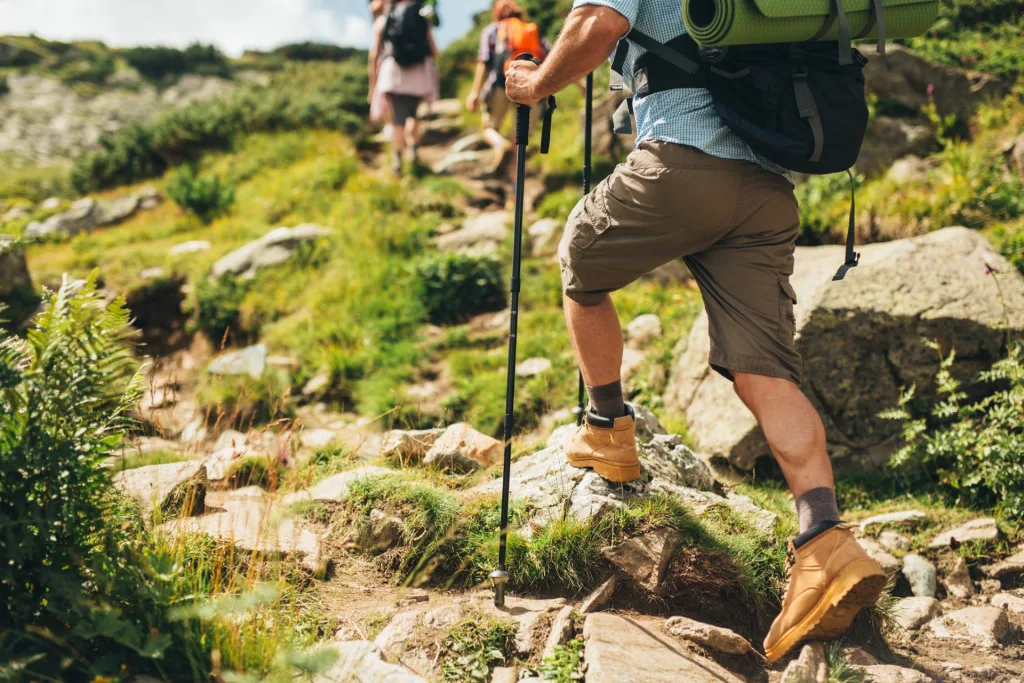 mountain-hiking with poles